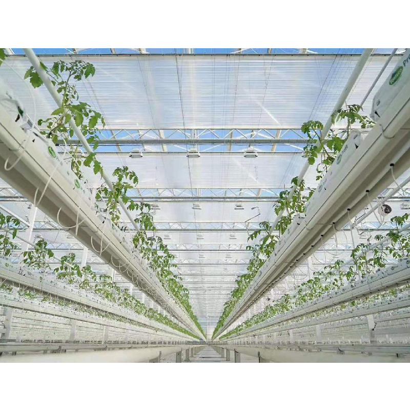 Transparent Thermal Insulation Curtain For Interior Use