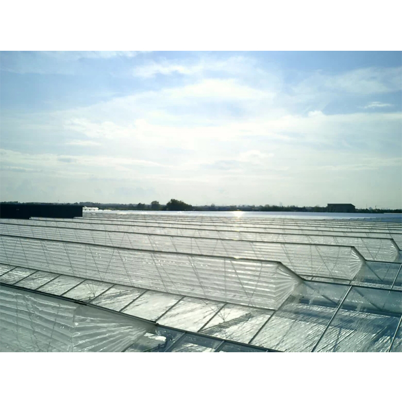 Folding Skylight Insect Screen